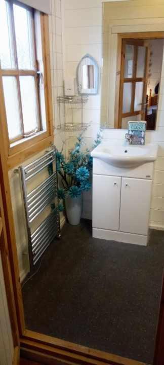 Trevenna Cabin เซนต์ออสเทลล์ ภายนอก รูปภาพ